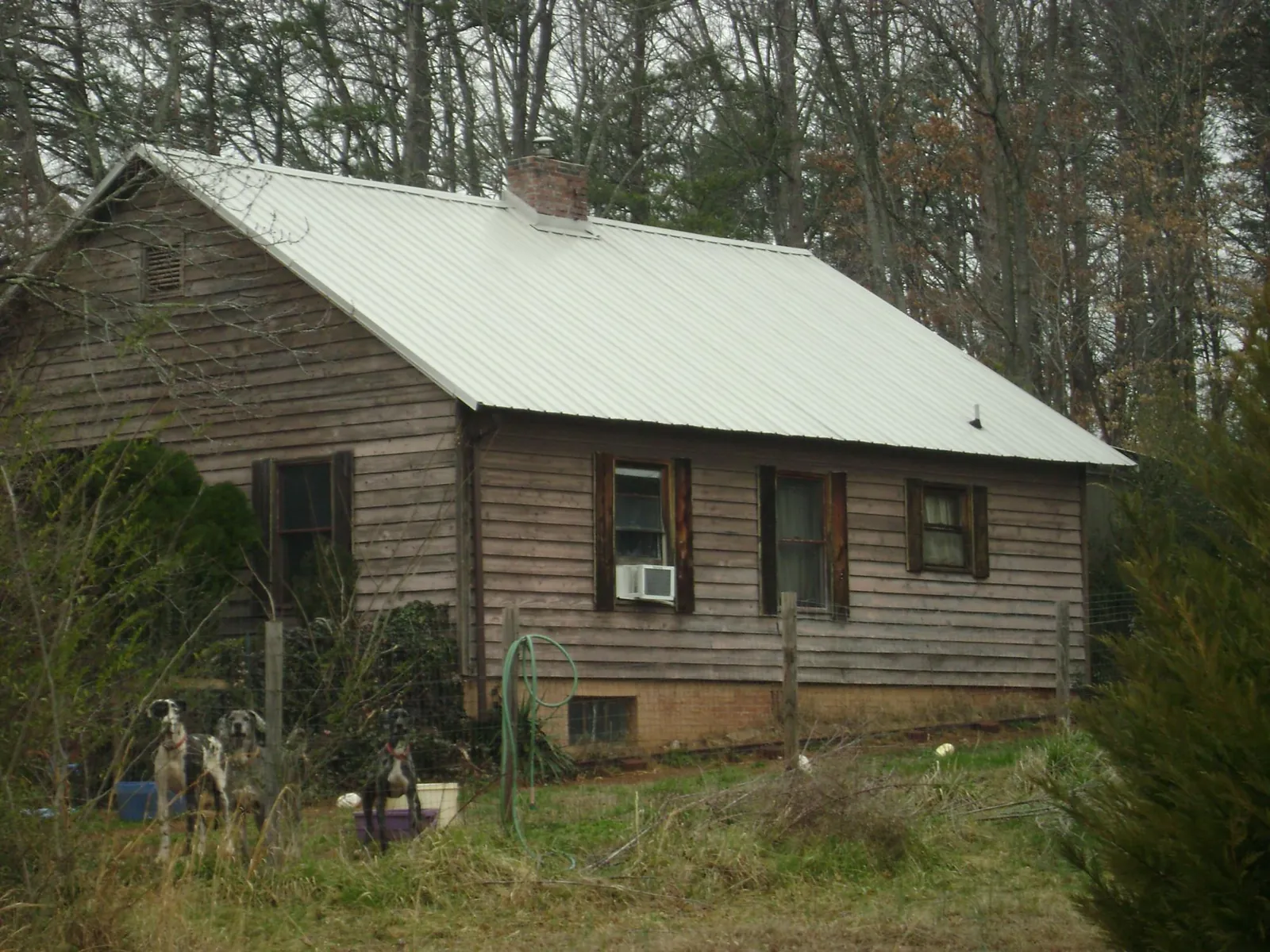 White metal roof on an old wood sided farmhouse, from a Asphalt Shingle Roof Repair job in Chelan Falls